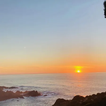 Natureza 알제주르